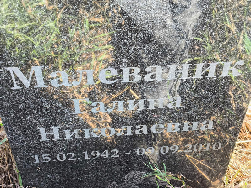 Малеваник