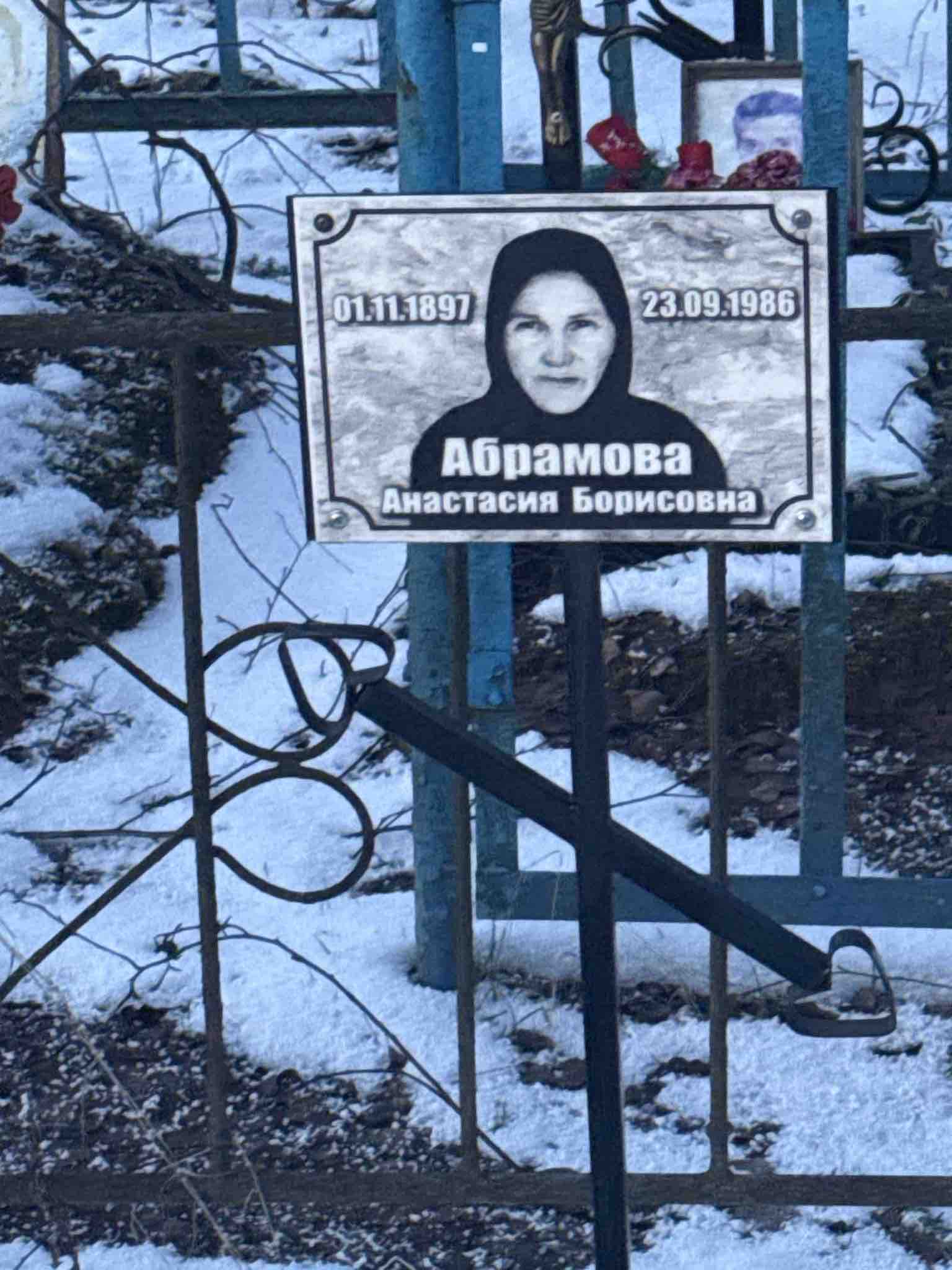 Абрамова Анастасия Борисовна