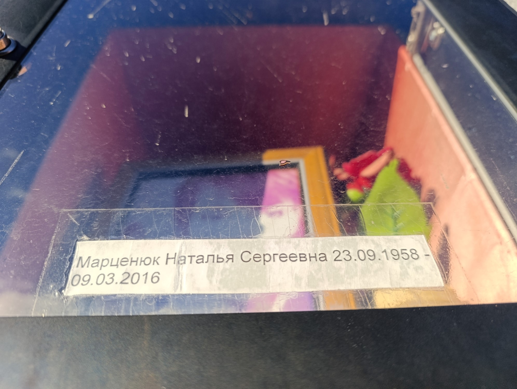 Марценюк Наталья Сергеевна