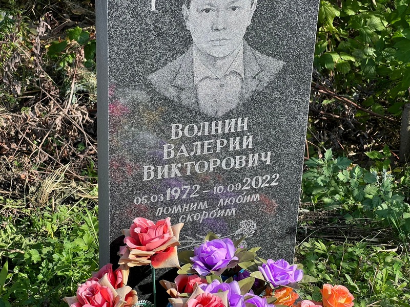 Волнин