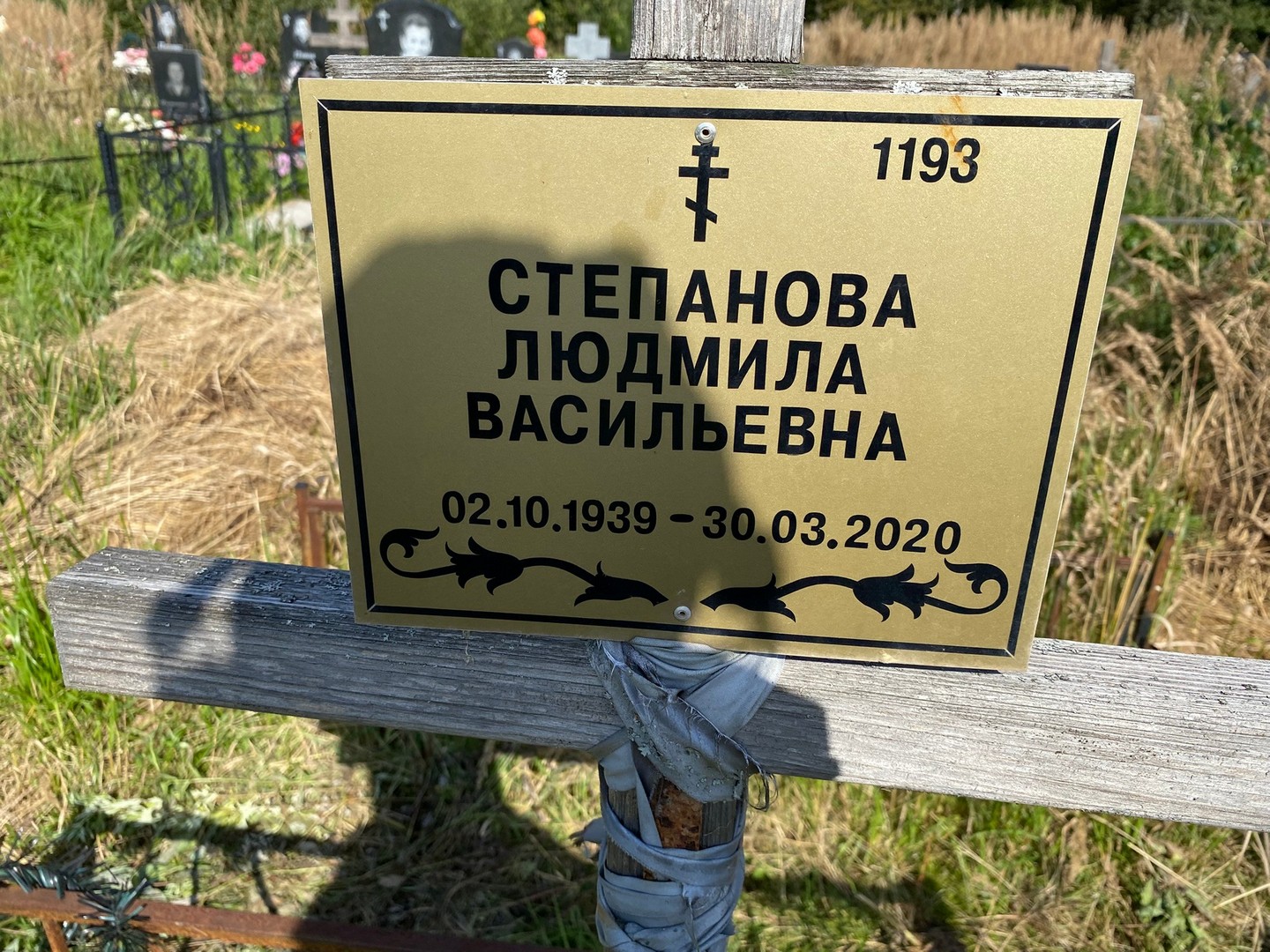 Степанова