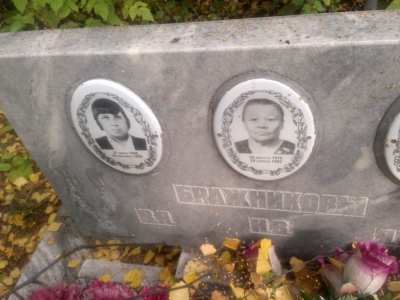 В Бражников Я
