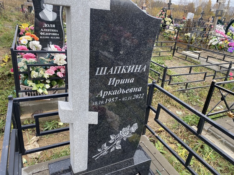 Шапкина