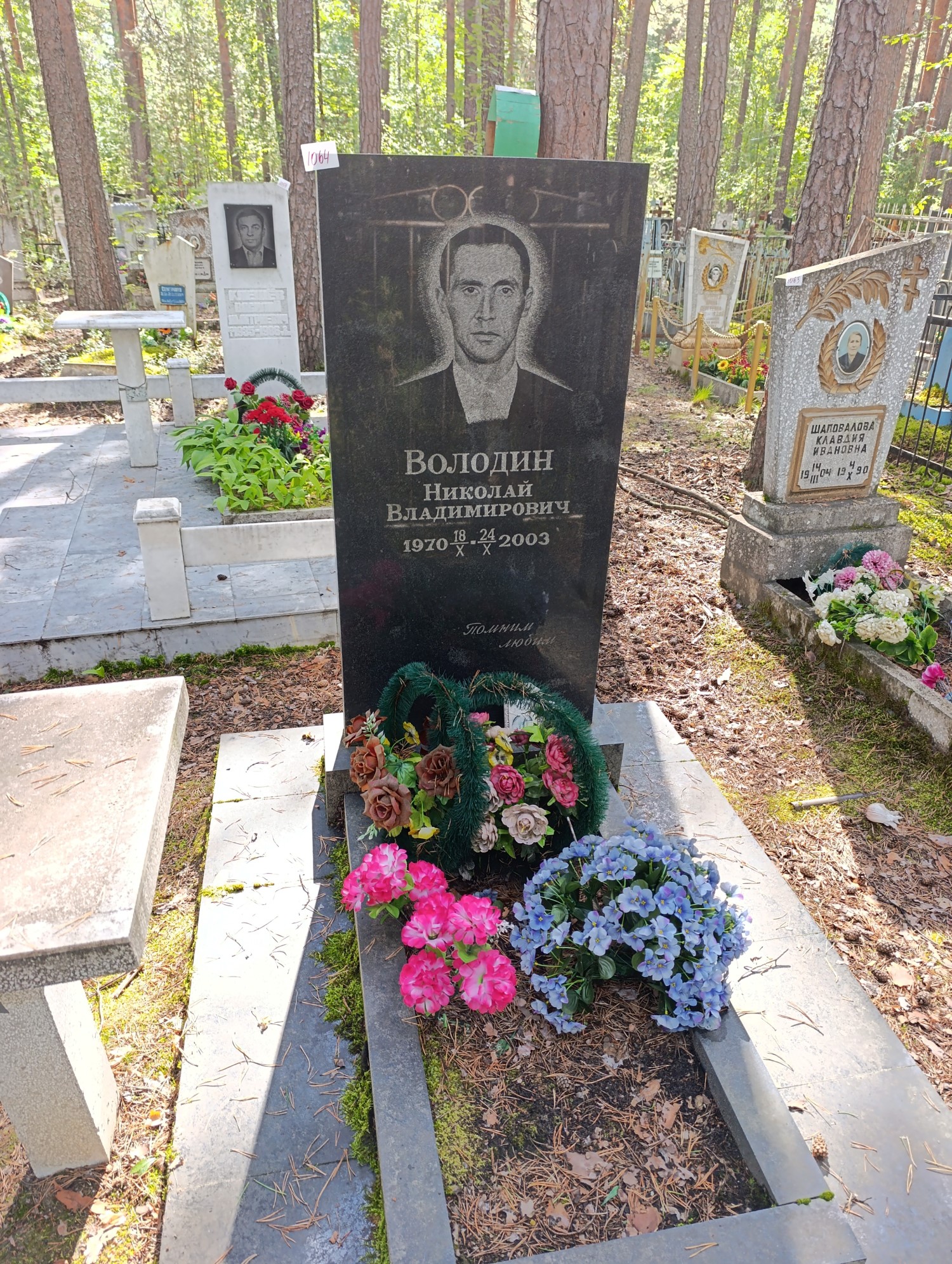 Володин Николай Владимирович