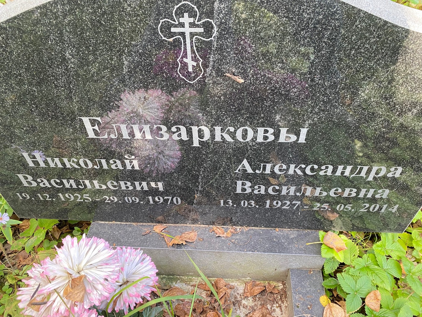 Елизарков