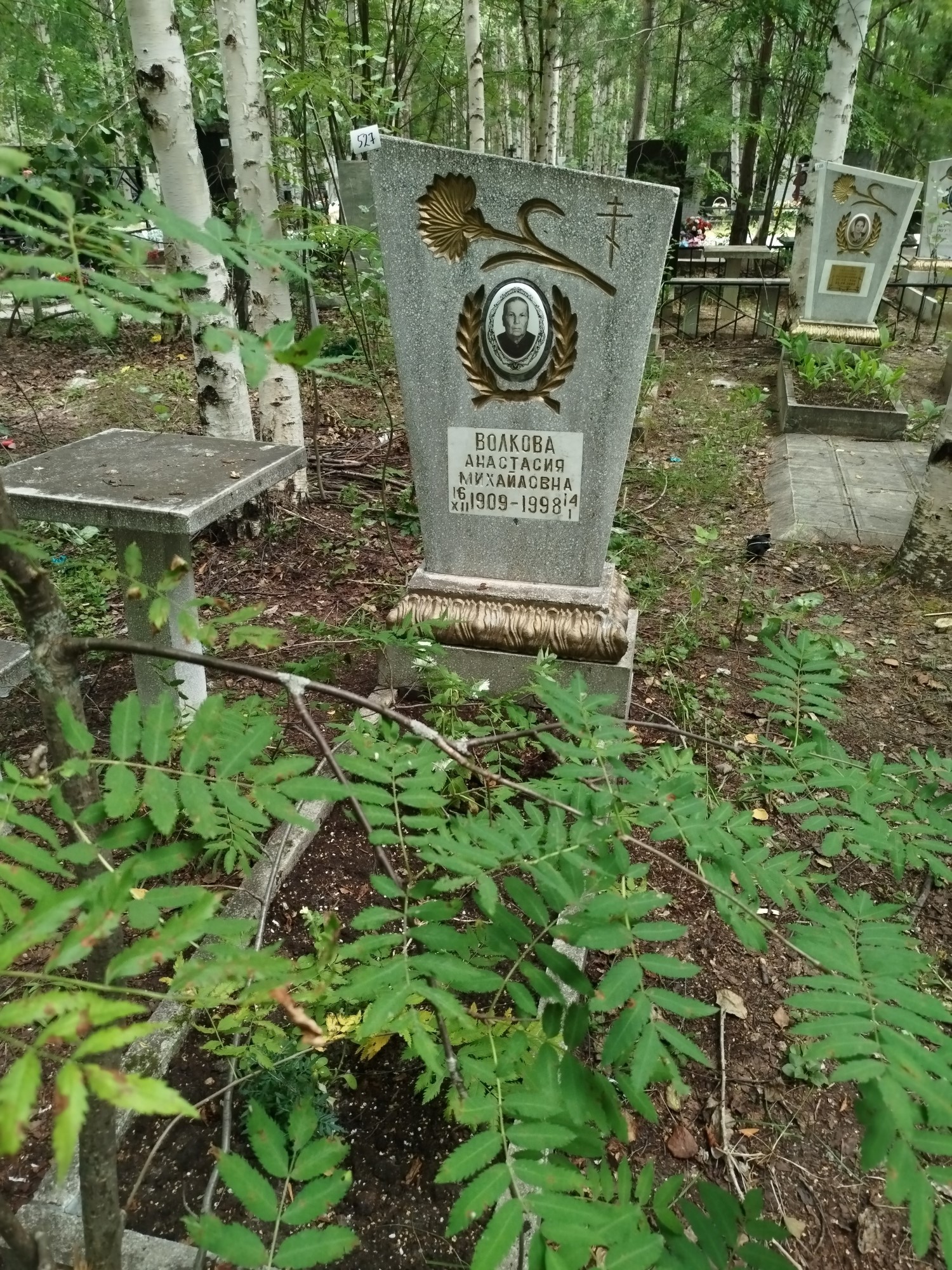 Волкова Анастасия Михаловна