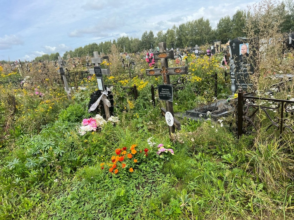 Дикушин Александр Владимирович