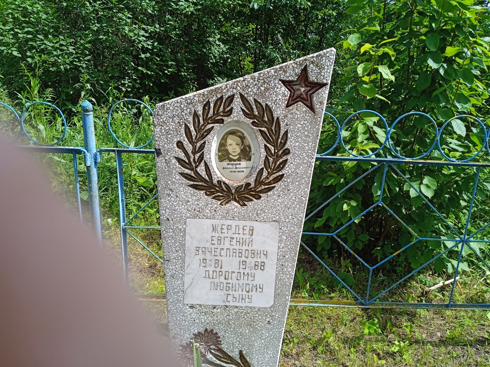 Жердев Евгений Васильевич