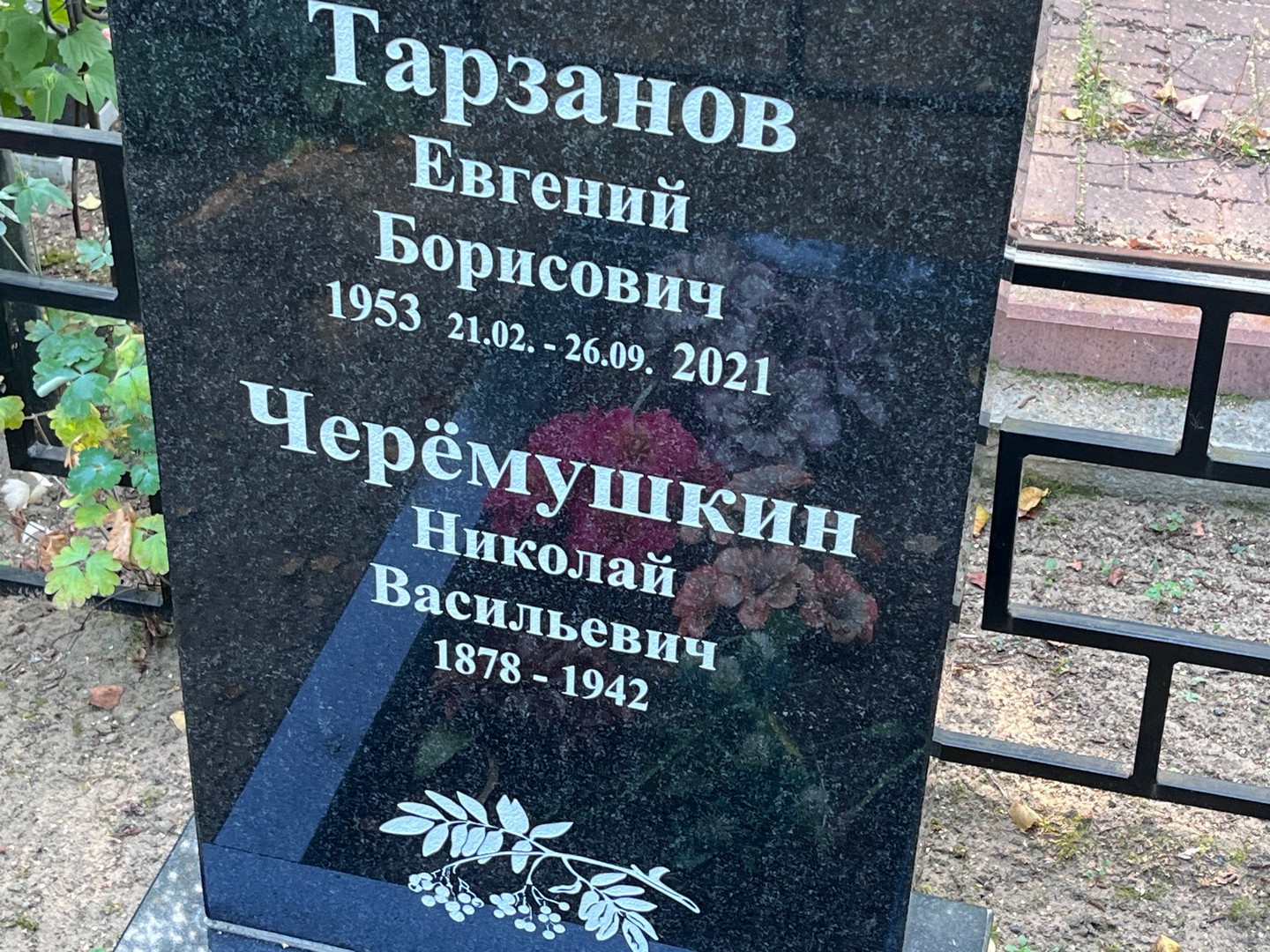 Тарзанов