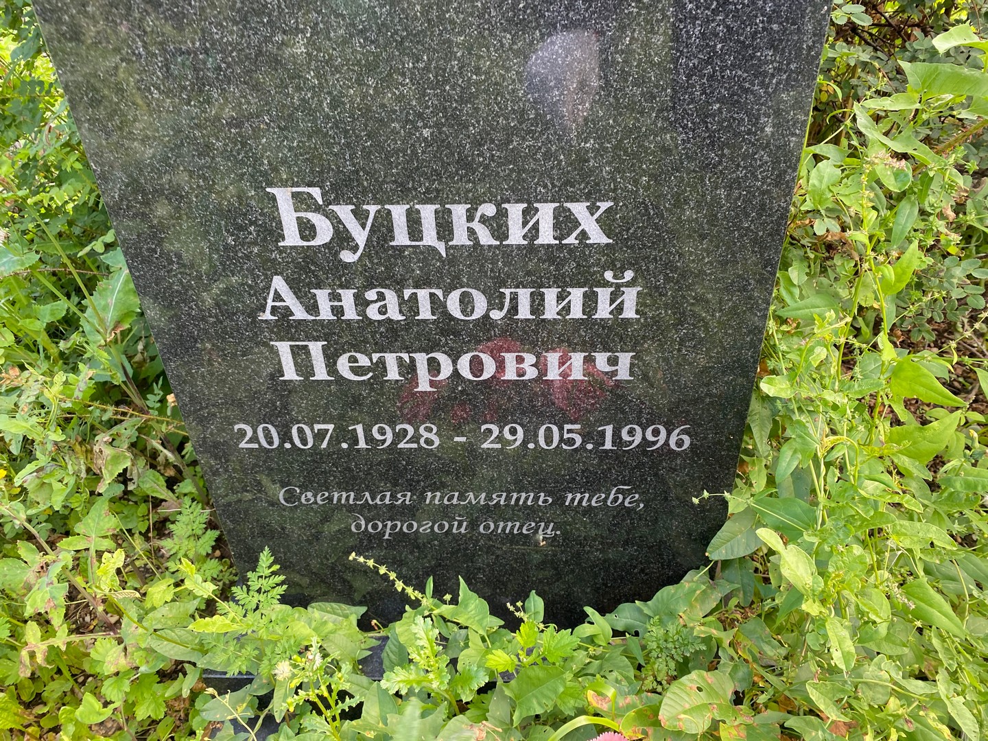 Буцких