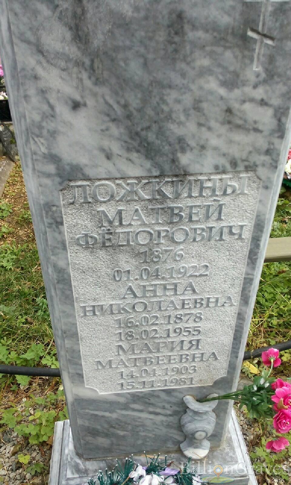Ложкина Анна Николаевна