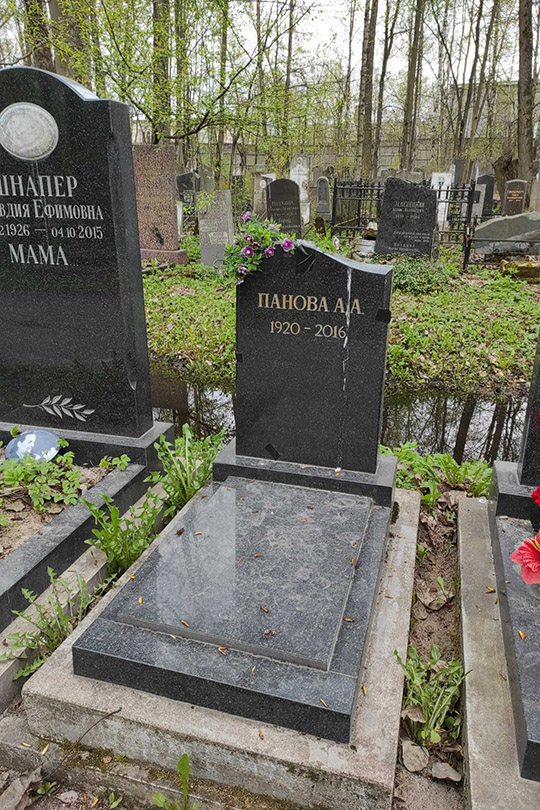 Панова А. А.