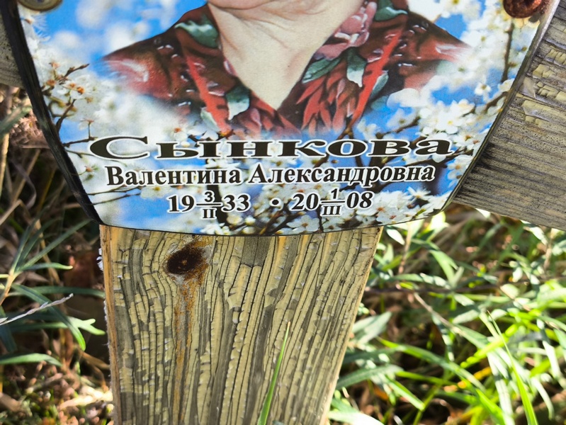 Сынкова