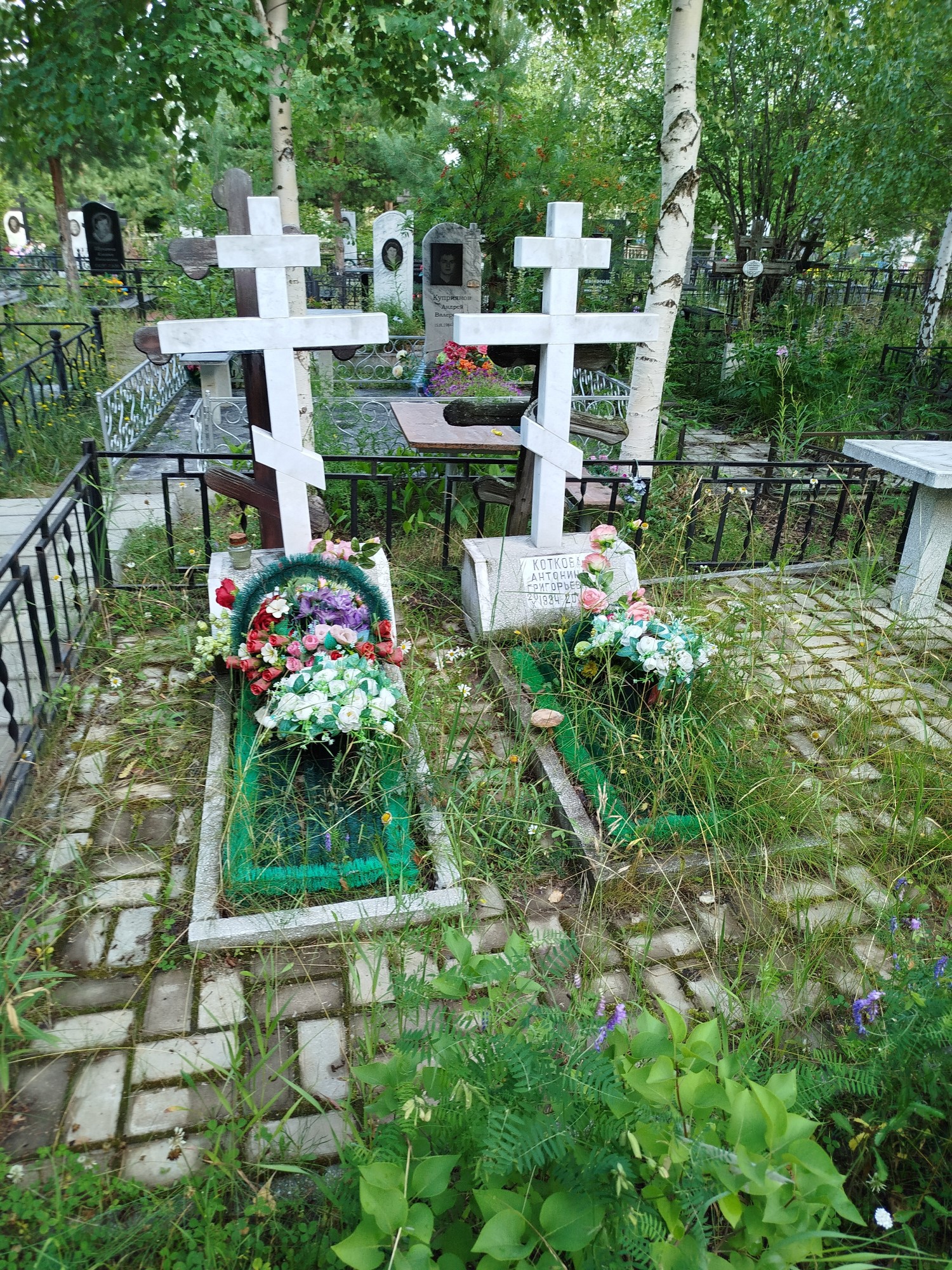 Коткова Антонина Григорьевна