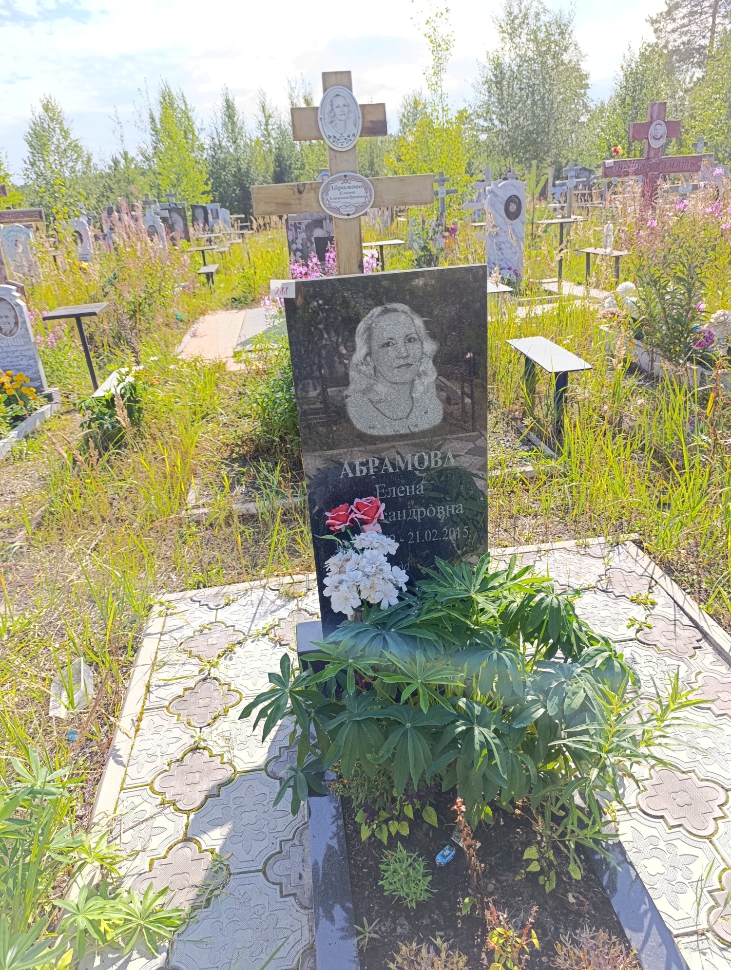 Абрамова Елена Александровна