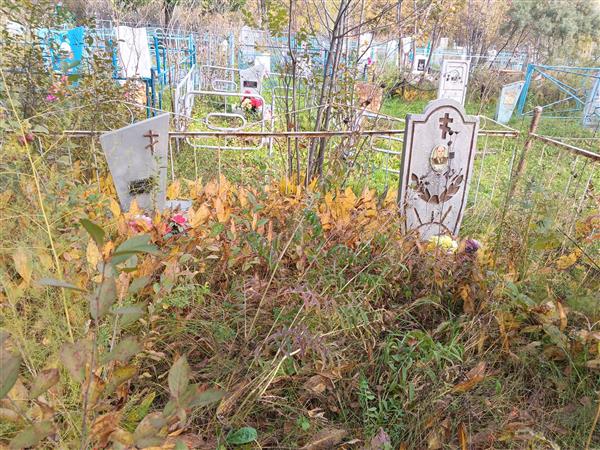 Плисенко Михаил Миронович