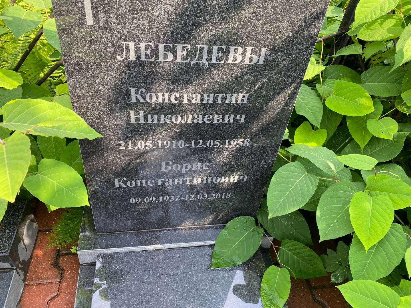 Лебедев