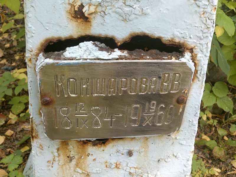 В Кокшарова В