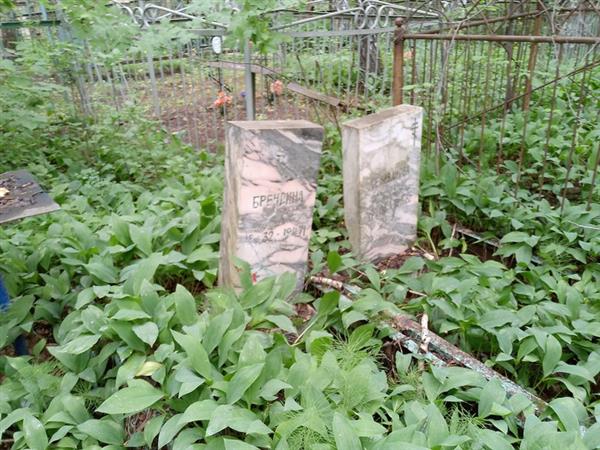 Брендина Анна Петровна