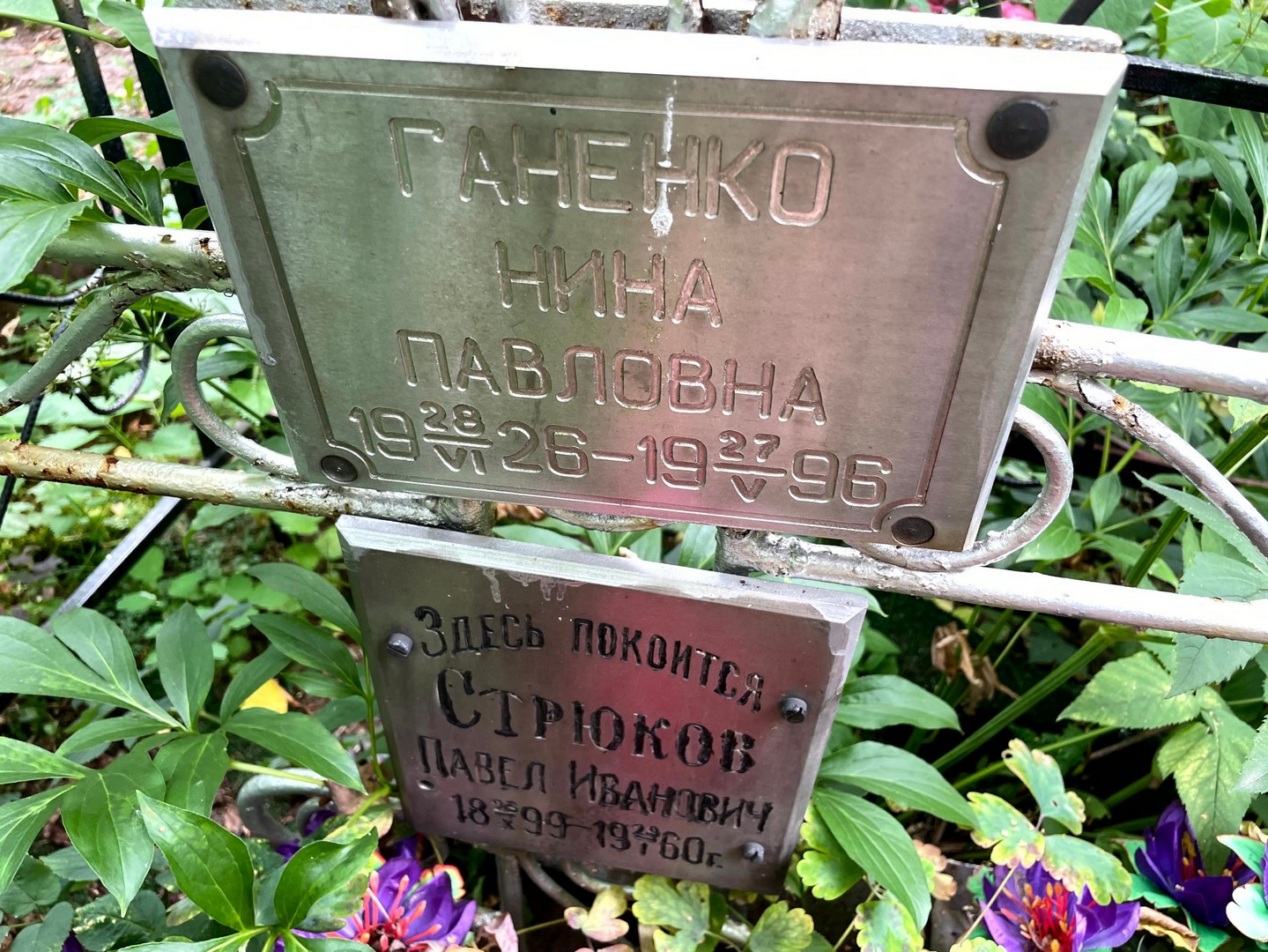 Ганенко