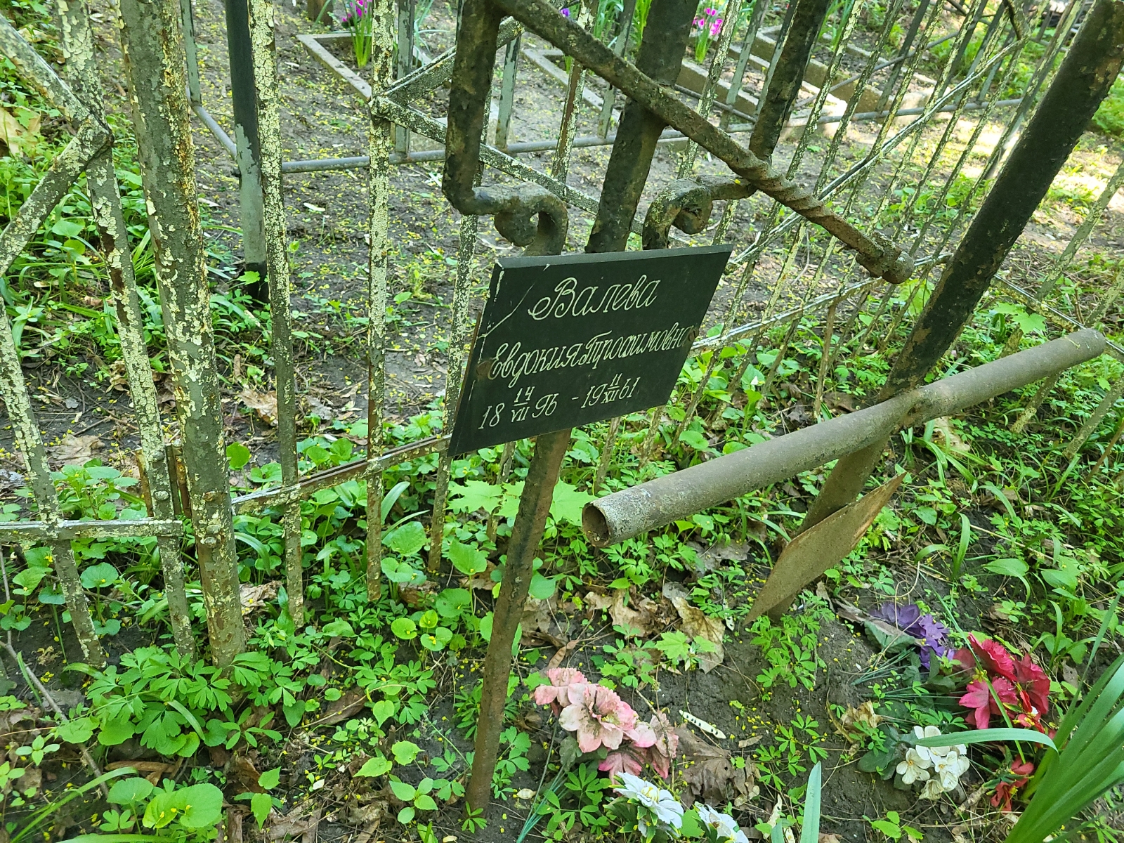 Валева Евдокия Трофимовна