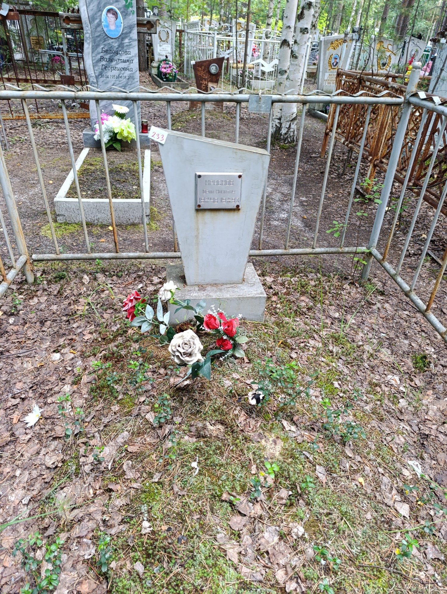 Краснов Юрий Никитич