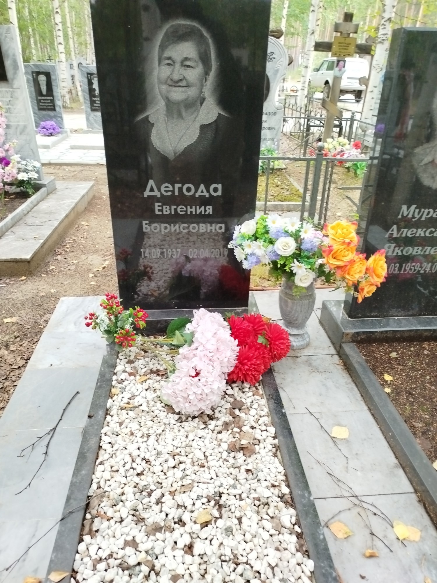 Дегода Евгения Борисовна