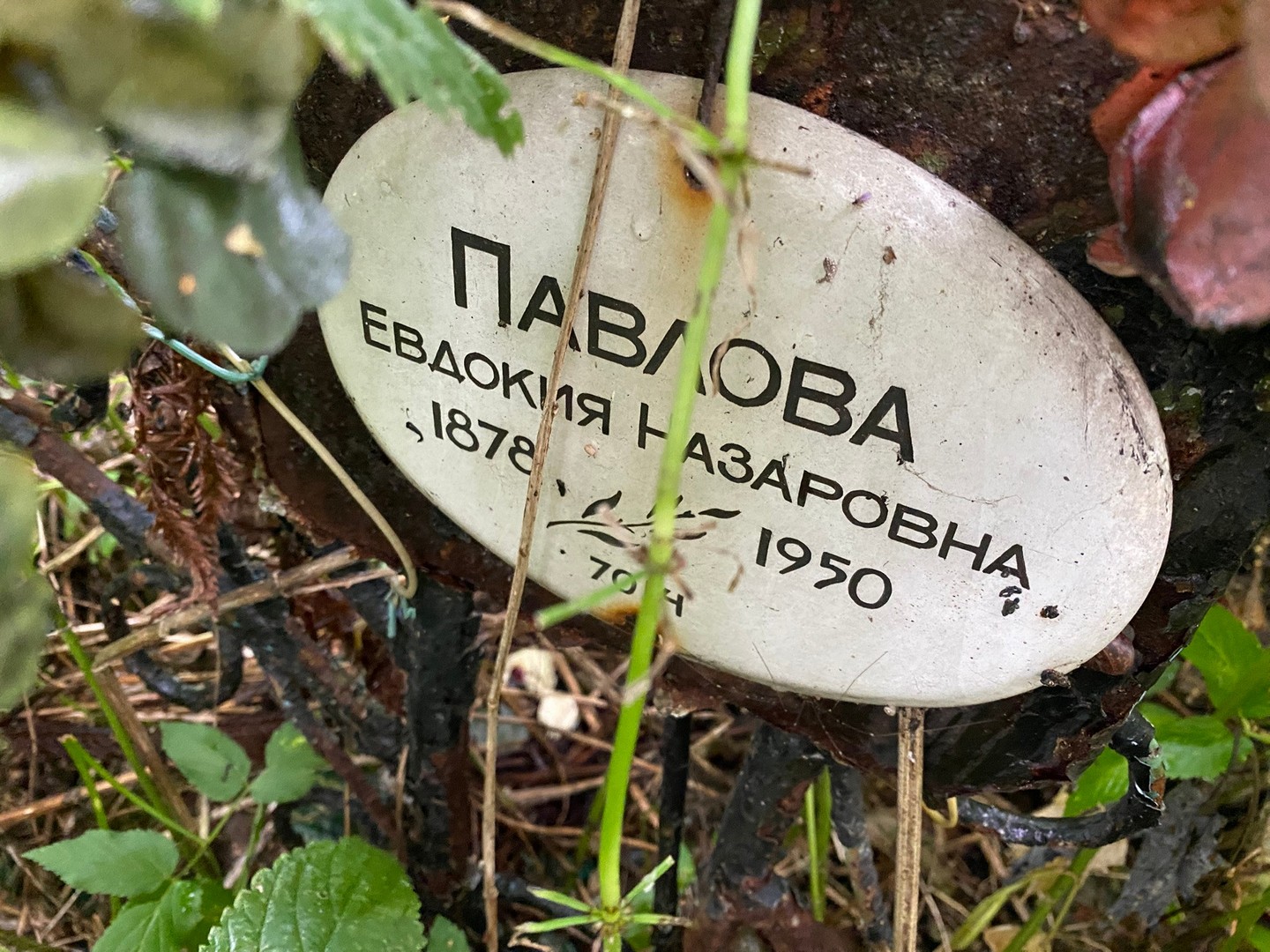 Павлова