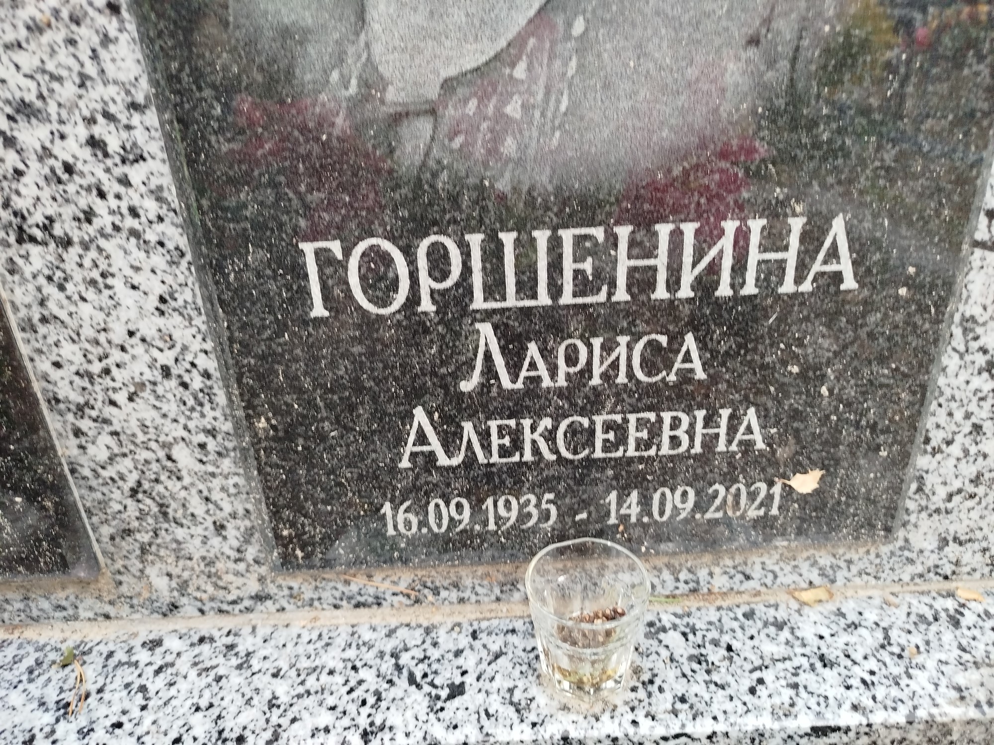 Горшенина Лариса Алексеевна