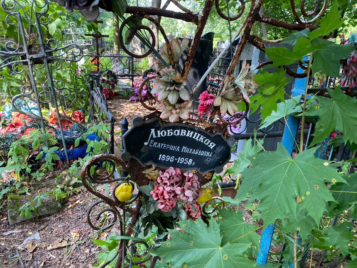 Любавицкая