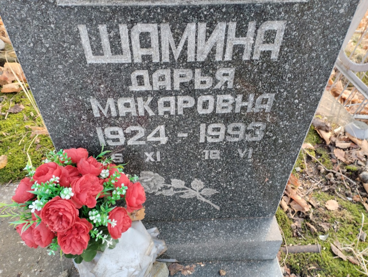 Шамина Дарья Макаровна
