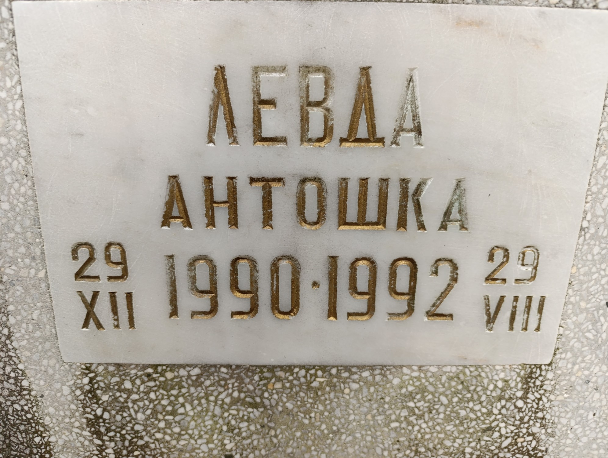 Левда Антон