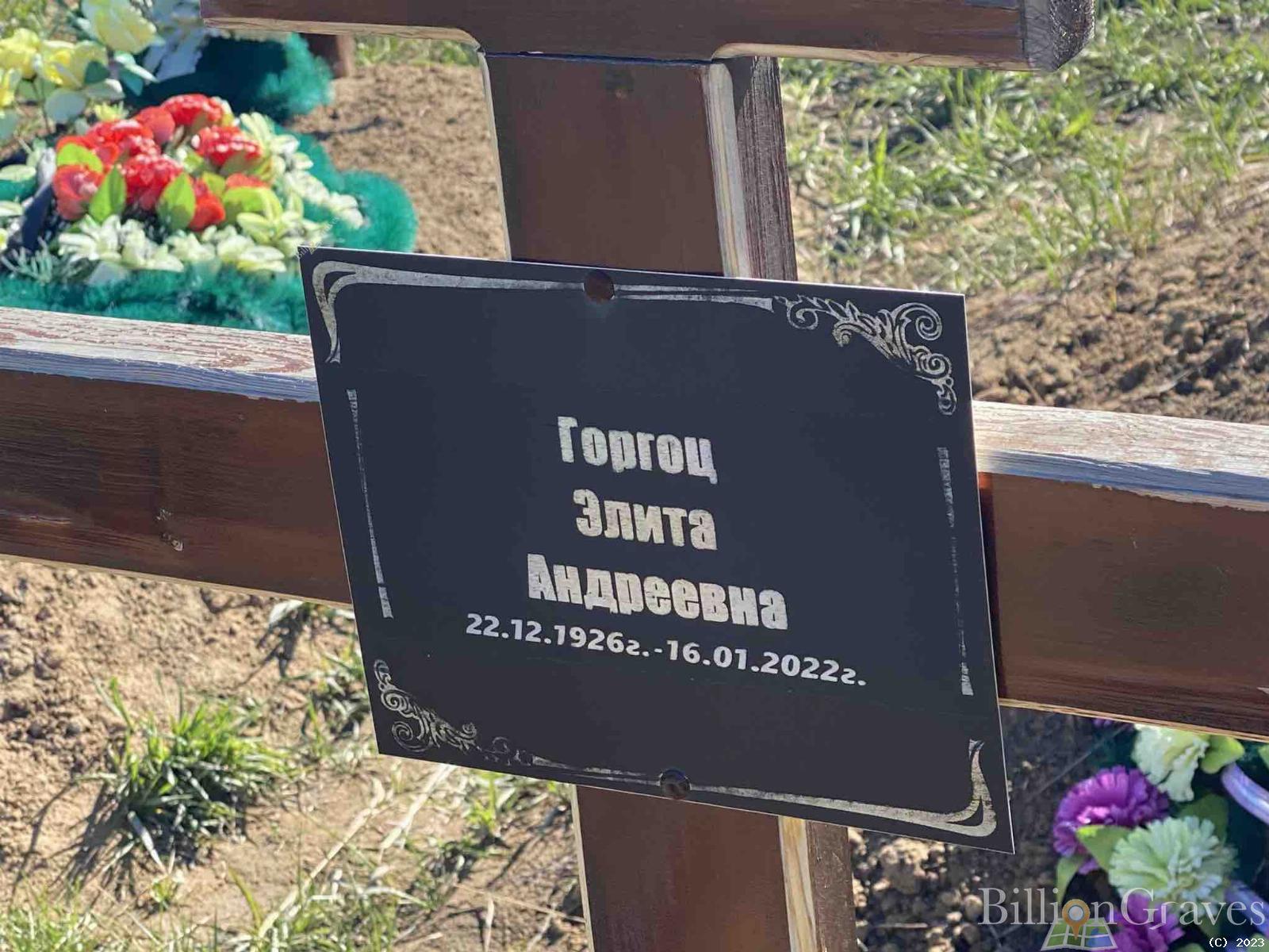 Горгоц Элита Андреевна