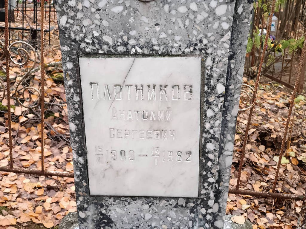Плотников Анатолий Сергеевич
