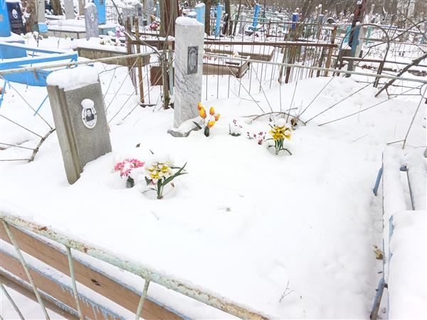 Кошечкина Прасковья Ивановна