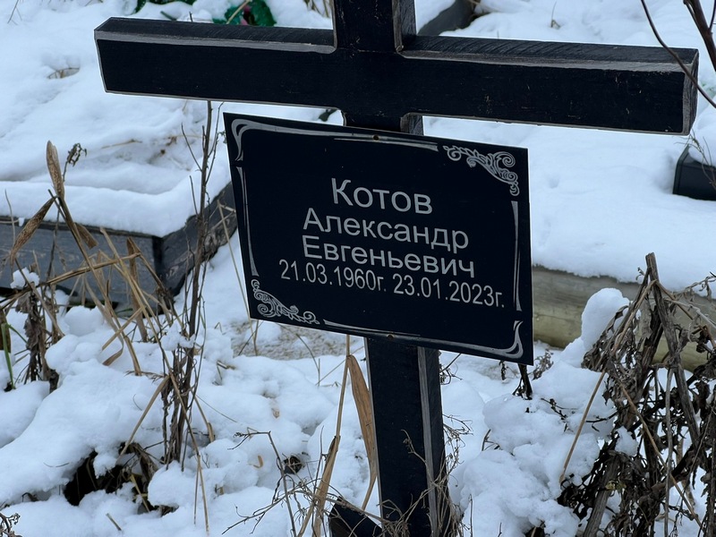 Котов