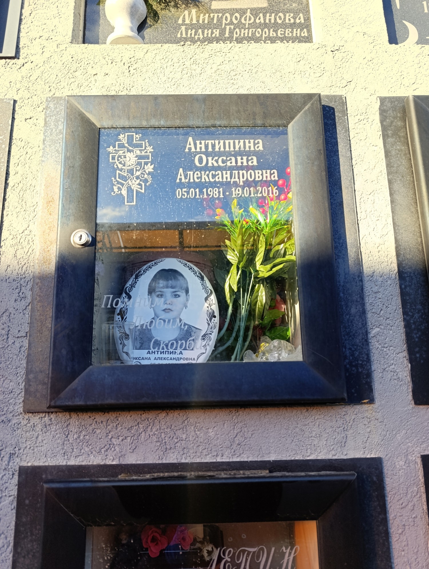 Антипина Оксана Александровна