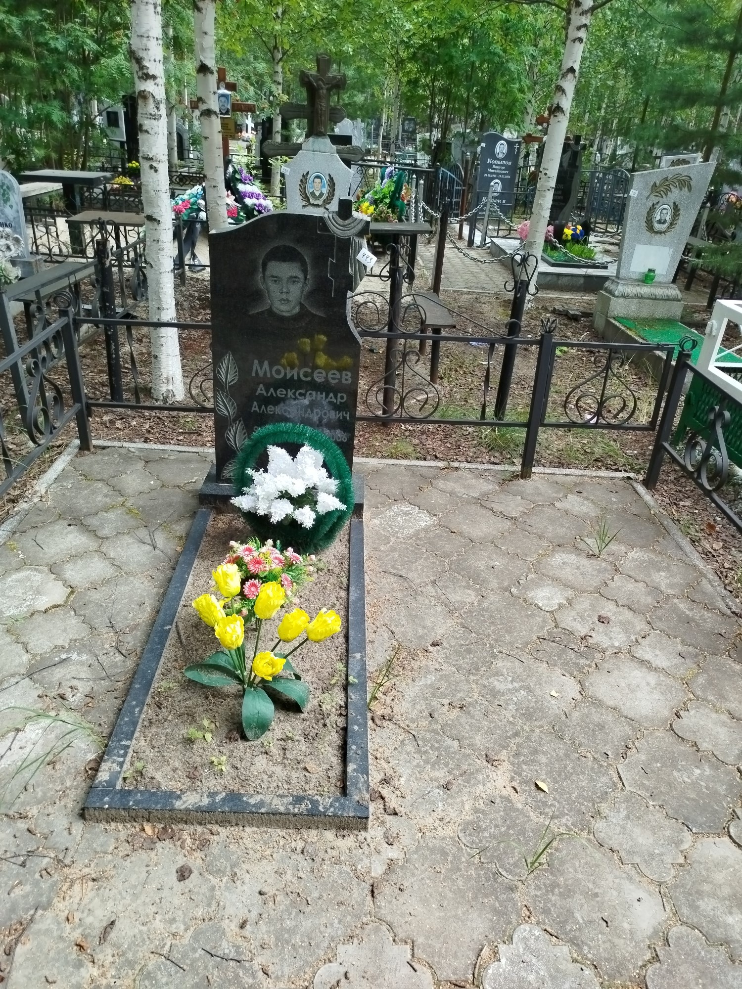 Моисеев Александр Александрович