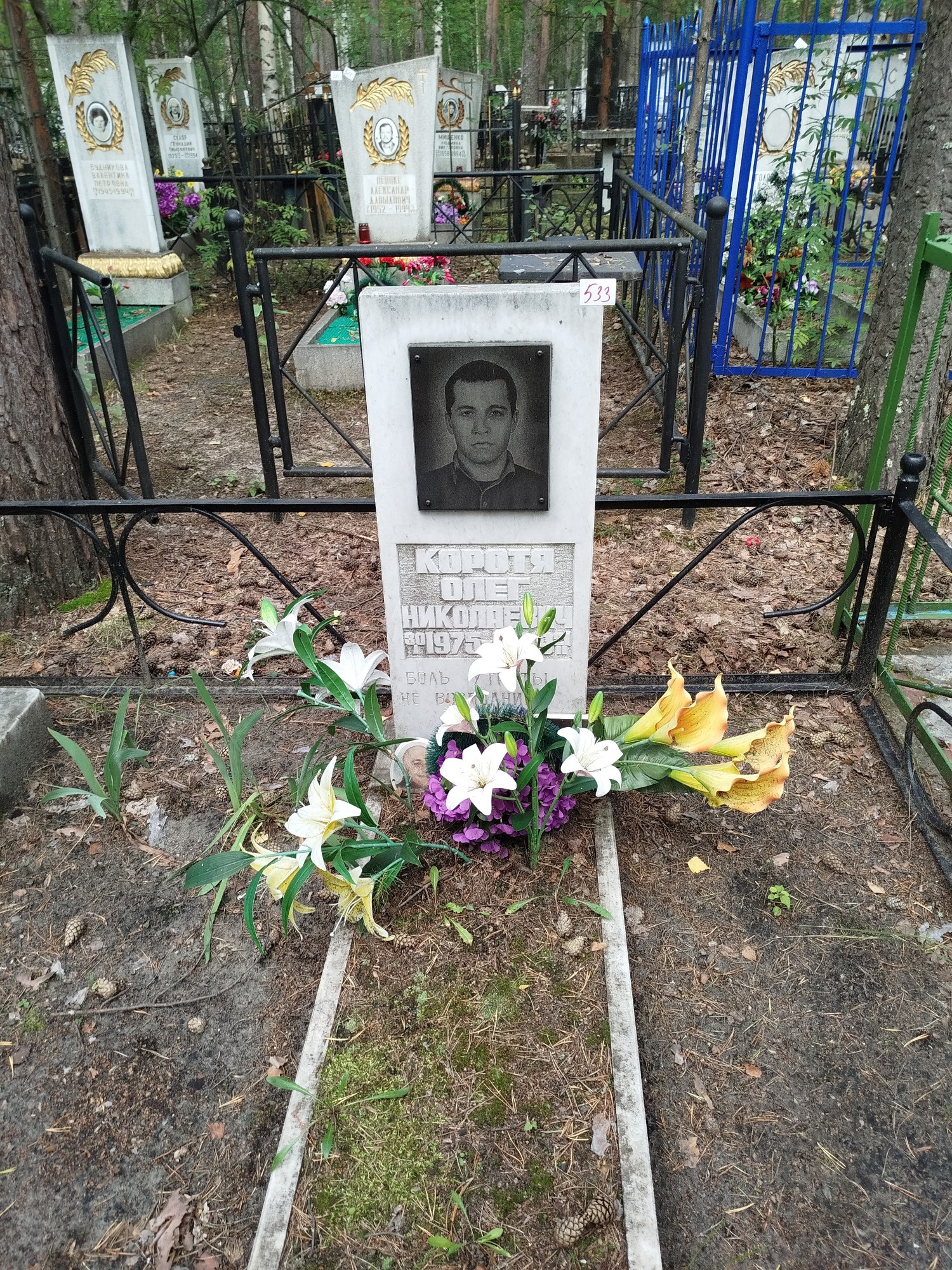Коротя Олег Николаевич
