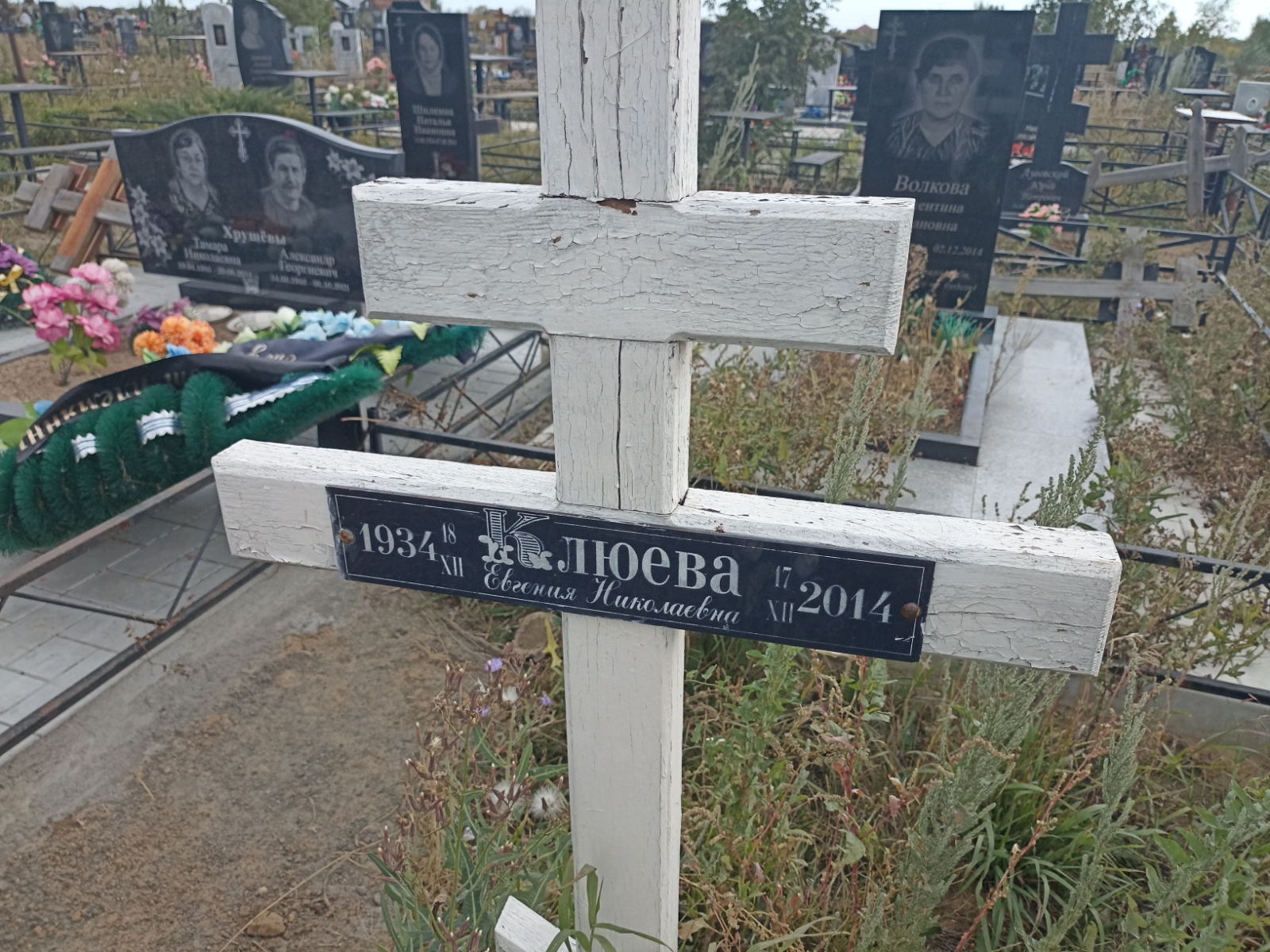 Клюева Евгения Николаевна