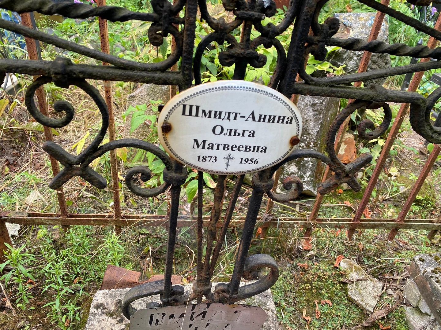 Шмидт-Анина Ольга Матвеевна