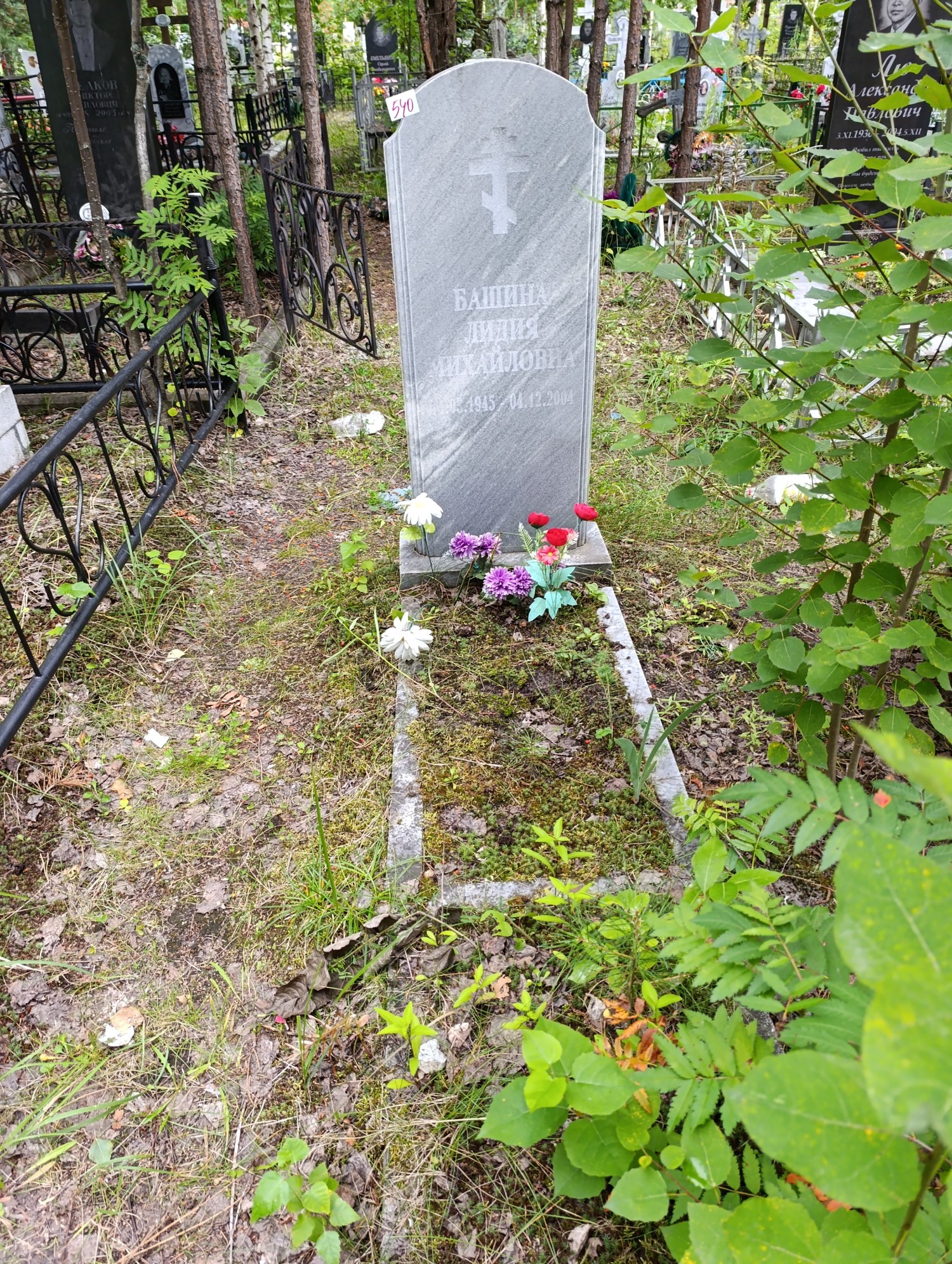 Башина Лидия Михайловна
