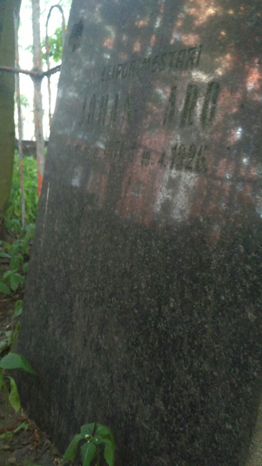Aro Johan