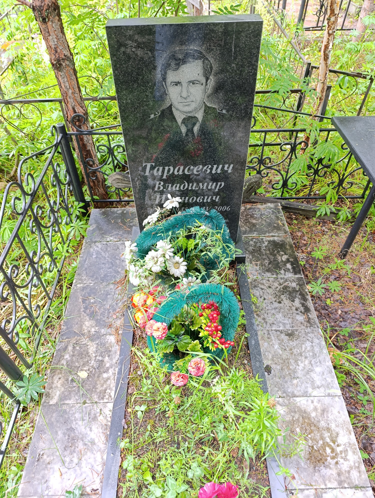 Тарасевич Владимир Исанович