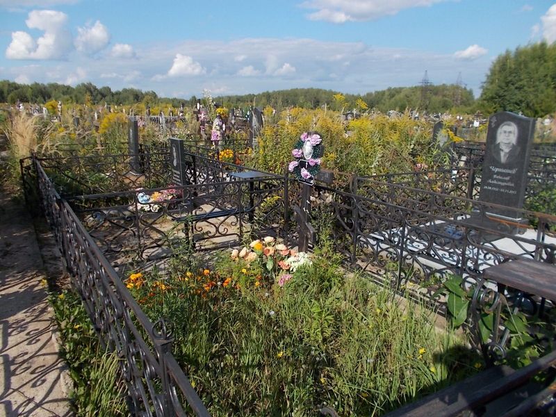 Коровенкова Анастасия Ивановна