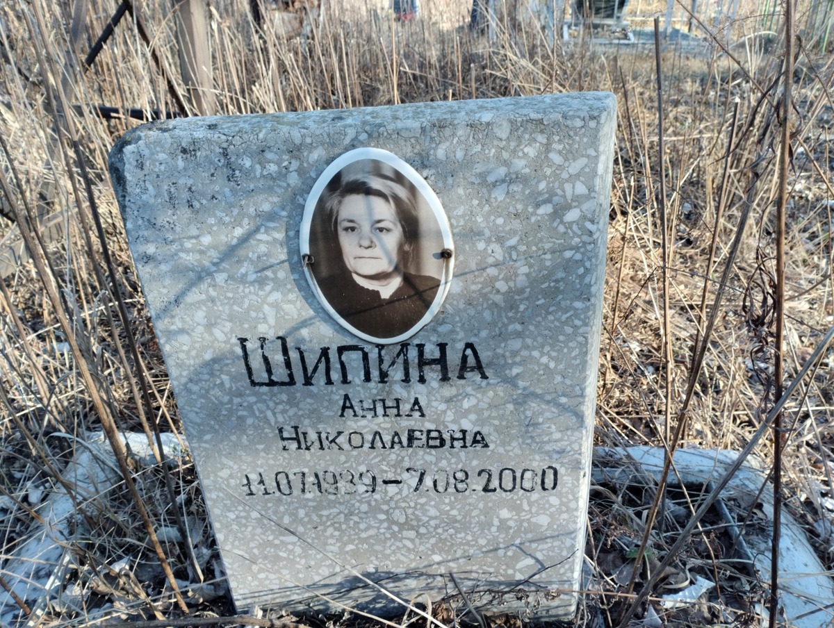 Шипина Анна Николаевна