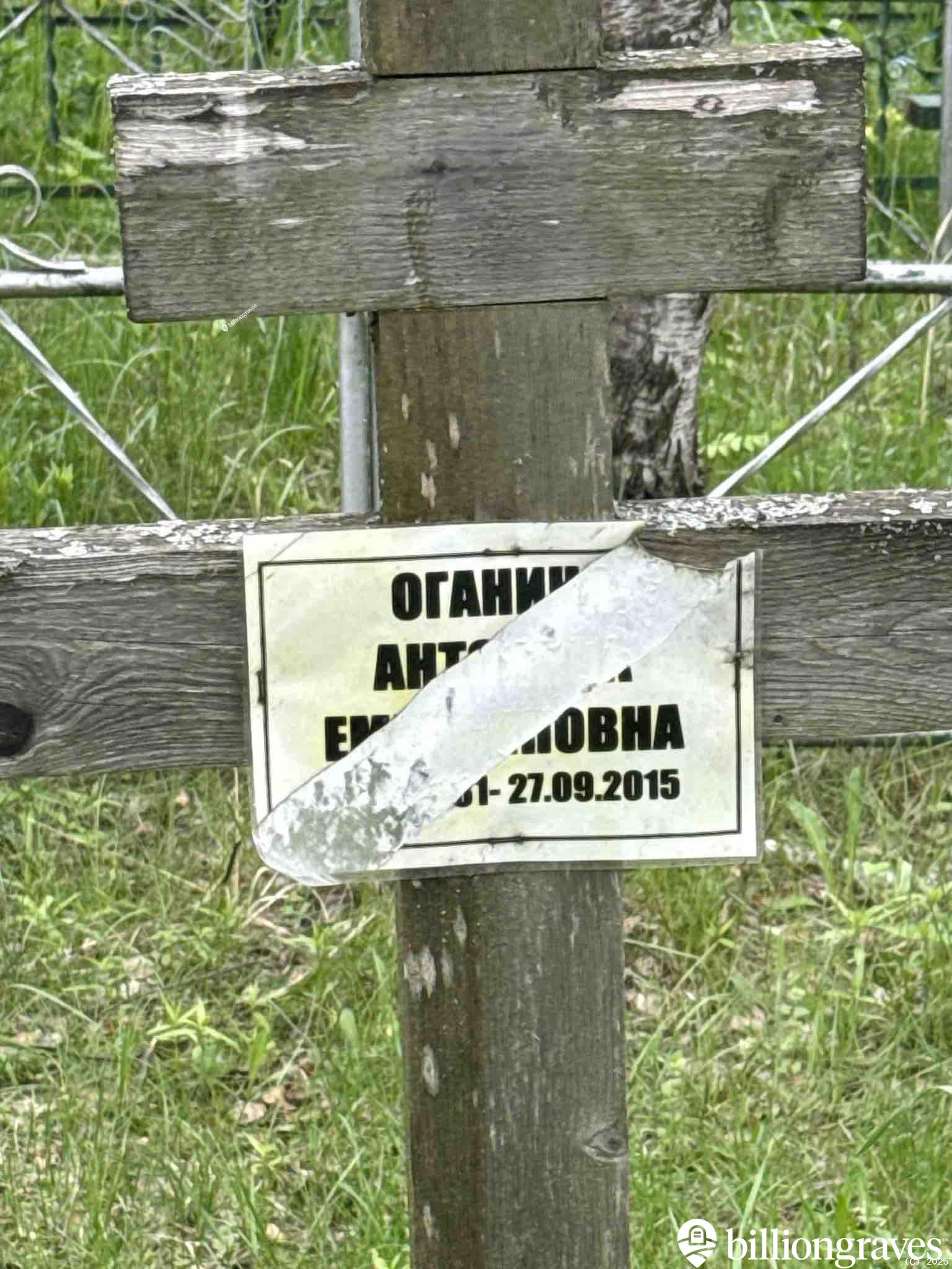 Оганина Антонина Е.