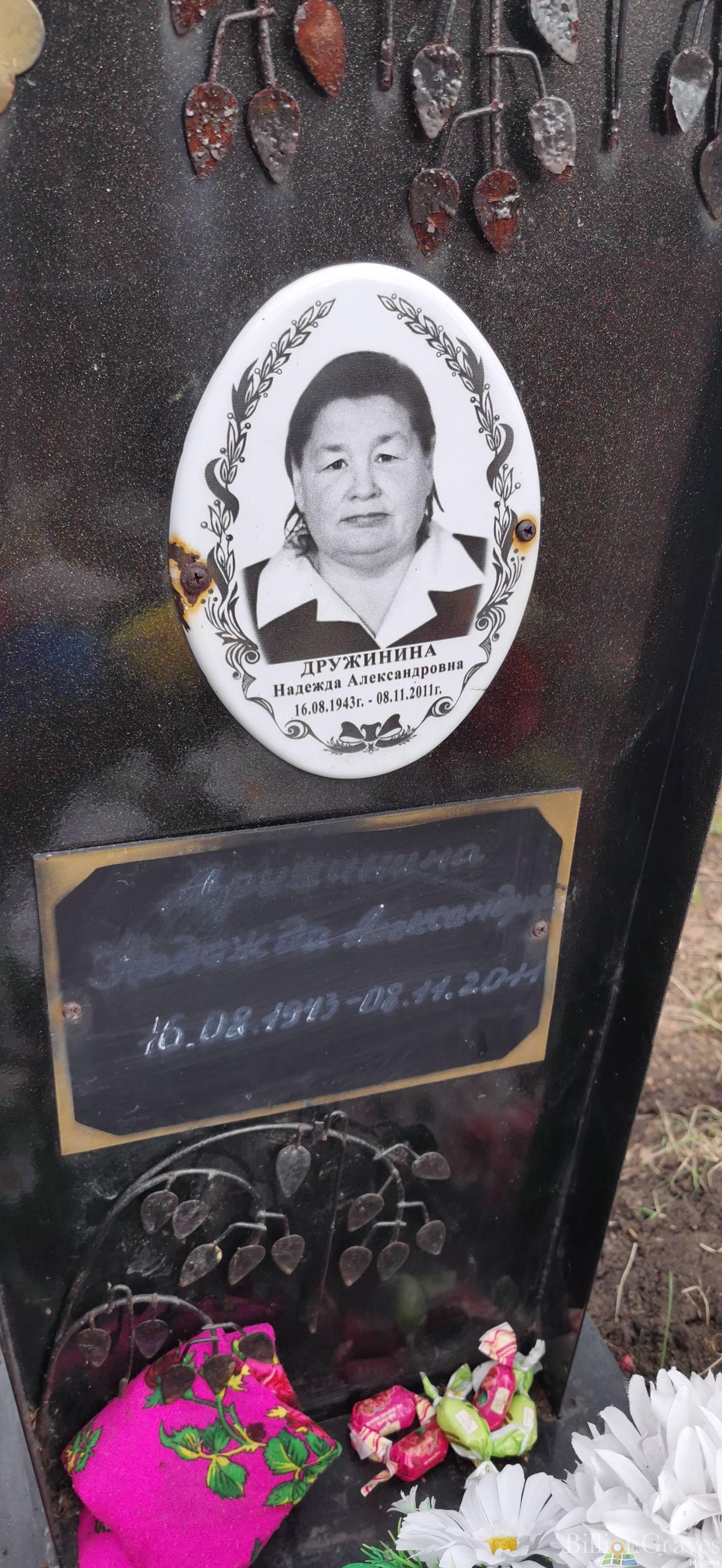 Дружинина Надежда Александровна