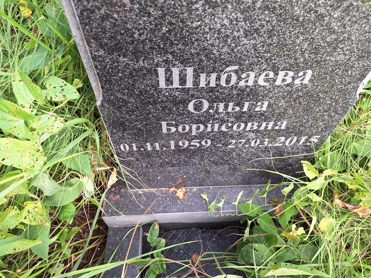 Шибаева