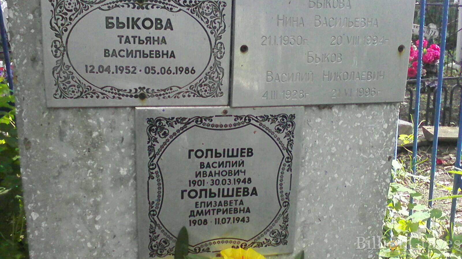Быков Василий Николаевич